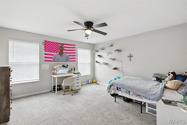 258 Stiles Dr, Wentzville, MO 63385 - photo 40