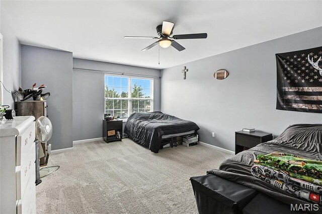 258 Stiles Dr, Wentzville, MO 63385 - photo 44