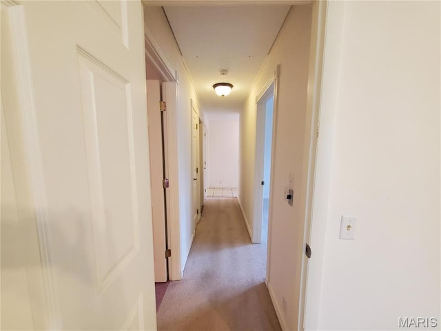528 Dogwood Ln, Houston, MO 65483 - corridor with light carpet and baseboards