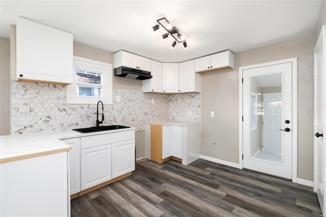 3438 Pine Grove Ave, Saint Louis, MO 63121 - kitchen with a sink, under cabinet range hood, dark wood-style flooring, and white cabinetry