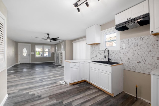 3438 Pine Grove Ave, Saint Louis, MO 63121 - kitchen with a sink, under cabinet range hood, a ceiling fan, decorative backsplash, and dark wood-style flooring