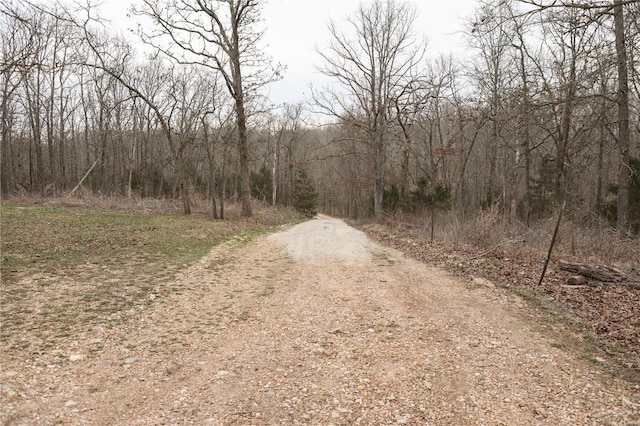 25125 Ash Dr, Grovespring, MO 65662 - view of dirt / gravel road featuring a view of trees
