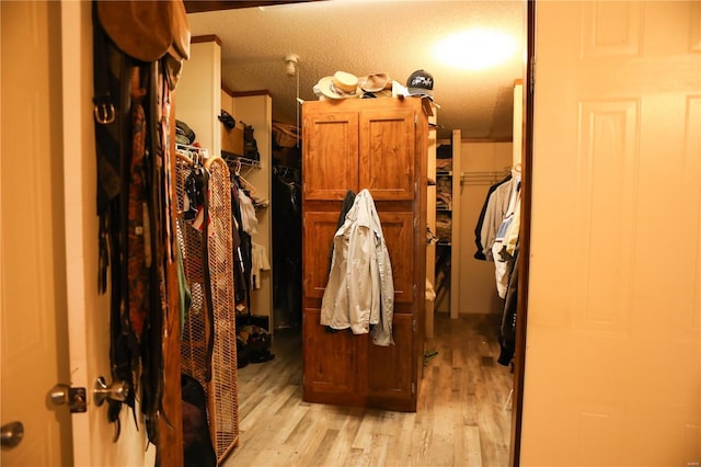 25125 Ash Dr, Grovespring, MO 65662 - spacious closet featuring light wood-style floors