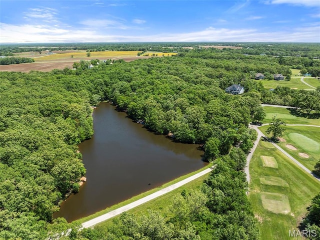 1178 Turnberry Dr, Innsbrook, MO 63390 - bird's eye view of a nearby body of water
