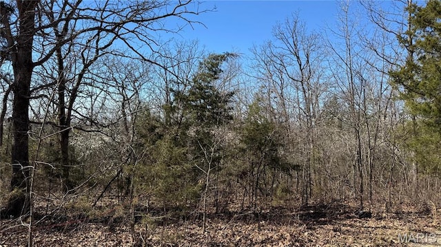 0 Holiday Shores Dr, Bismarck, MO 63624