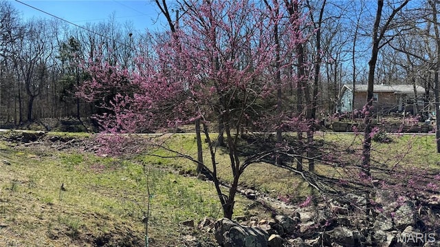 0 Holiday Shores Dr, Bismarck, MO 63624