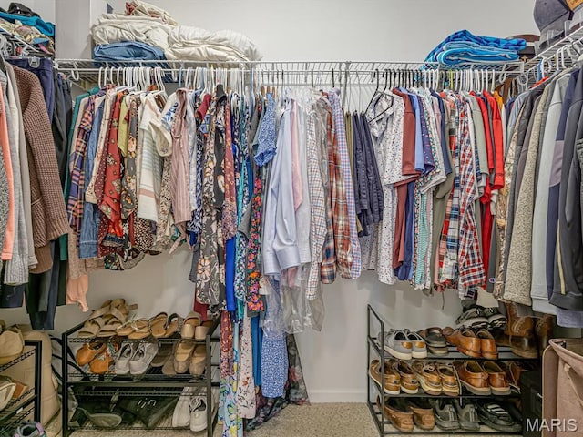 508 Southview Dr, Waterloo, IL 62298 - view of spacious closet