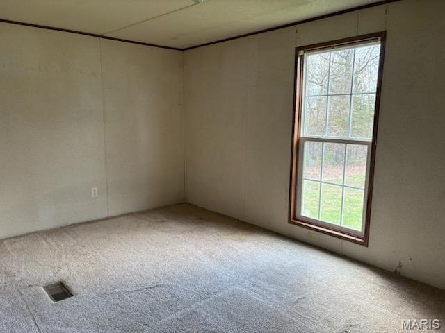 8336 Cedar Fork Rd, New Haven, MO 63068 - empty room featuring carpet flooring