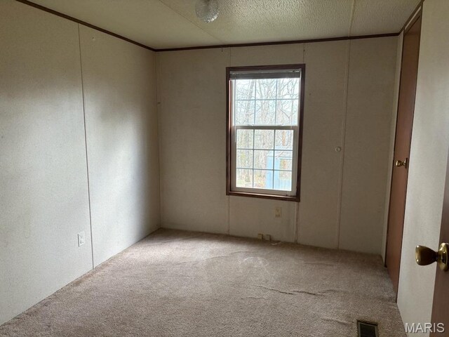 8336 Cedar Fork Rd, New Haven, MO 63068 - carpeted empty room with plenty of natural light and a decorative wall