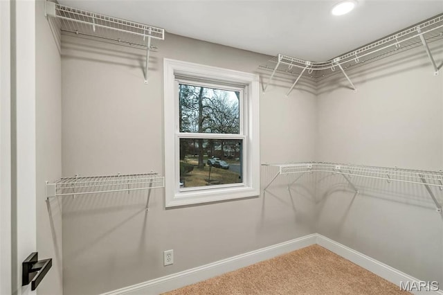 83 Chafford Woods, Saint Louis, MO 63144 - walk in closet featuring carpet floors