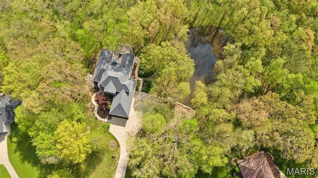 view of subject property with a heavily wooded area and a large body of water