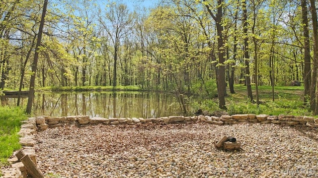 water view with a heavily wooded area