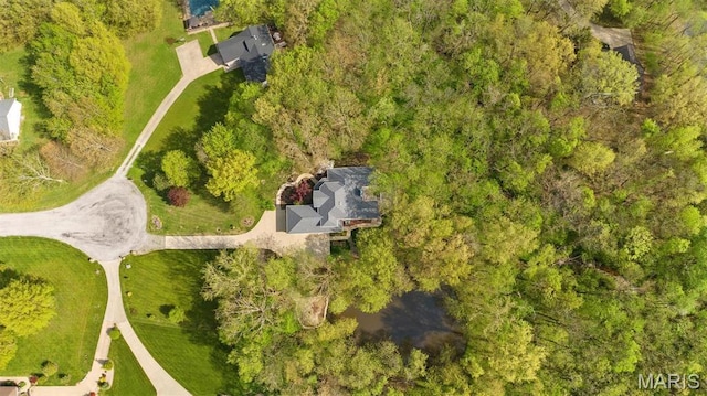 bird's eye view