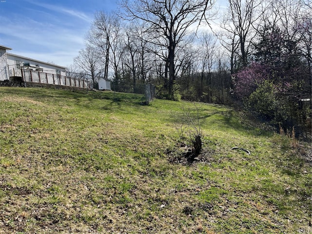 2717 Creon Ct, De Soto, MO 63020 - view of green lawn
