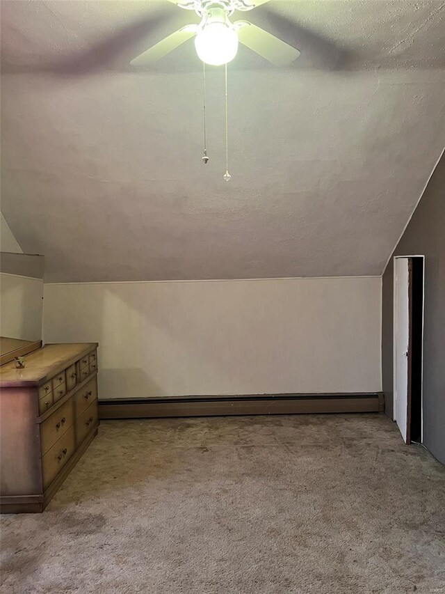 800 Olive St, Belleville, IL 62220 - photo 17