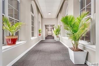 1515 Lafayette Ave Unit 316, Saint Louis, MO 63104 - hall featuring carpet floors and baseboards
