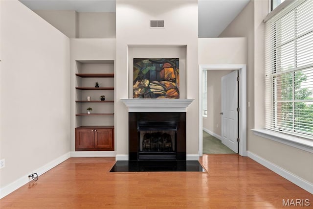 1515 Lafayette Ave Unit 316, Saint Louis, MO 63104 - living room with built in features, wood finished floors, baseboards, and a fireplace with flush hearth