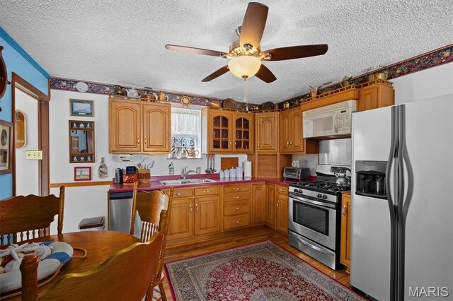 10 Mallard Dr, Carlyle, IL 62231 - kitchen featuring appliances with stainless steel finishes, a sink, a textured ceiling, a ceiling fan, and light wood-type flooring