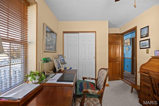 10 Mallard Dr, Carlyle, IL 62231 - office space with carpet and a textured ceiling