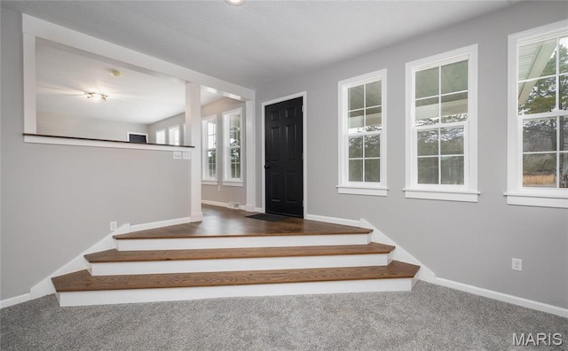 12000 State Rte E, Rolla, MO 65401 - stairway with healthy amount of natural light and carpet floors