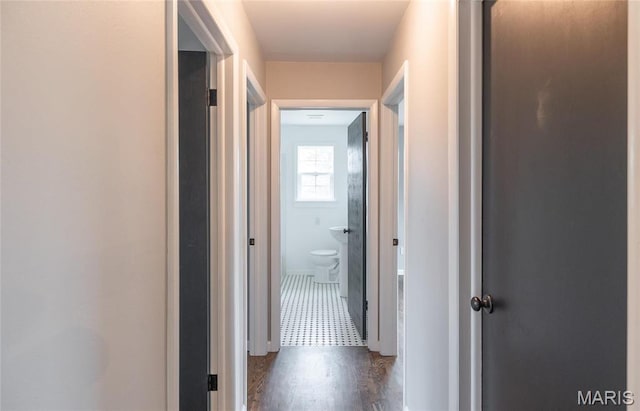 12000 State Rte E, Rolla, MO 65401 - corridor with dark wood-style flooring
