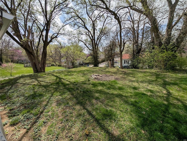 1300 Rixon, Alton, IL 62002 - view of green lawn