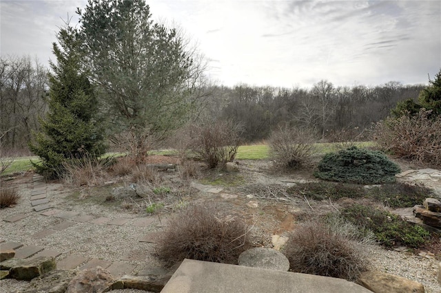 view of nature