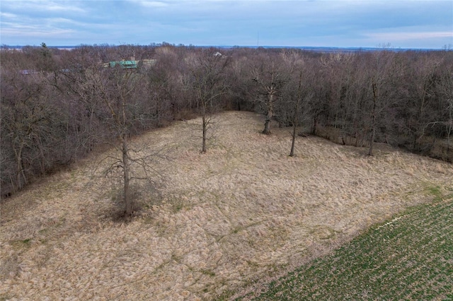 view of wooded area
