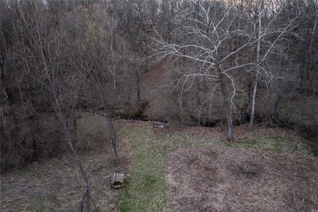 view of nature
