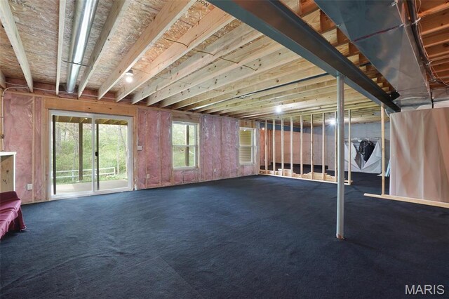 below grade area featuring carpet flooring
