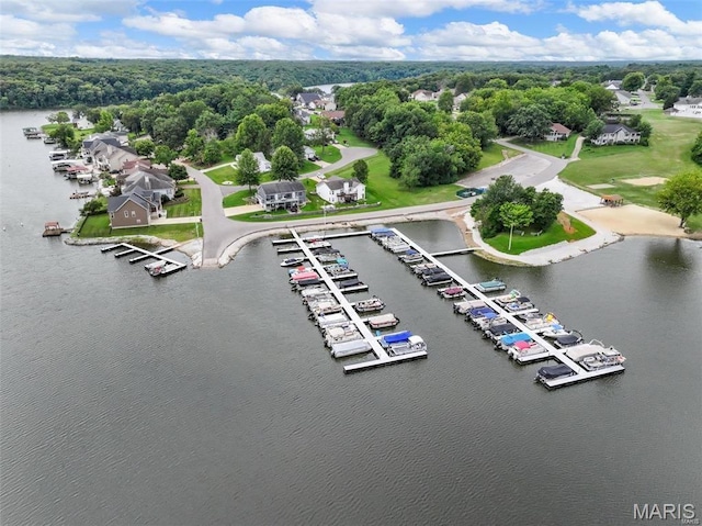 bird's eye view of a large body of water and numerous boat docks