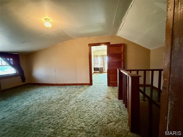 1681 S US Highway 63, West Plains, MO 65775 - additional living space with carpet floors, vaulted ceiling, plenty of natural light, and baseboards