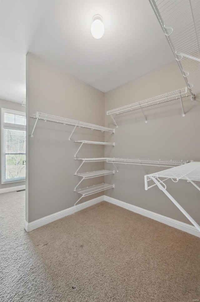 2707 Fairway Estates Dr, Wentzville, MO 63385 - spacious closet featuring carpet floors