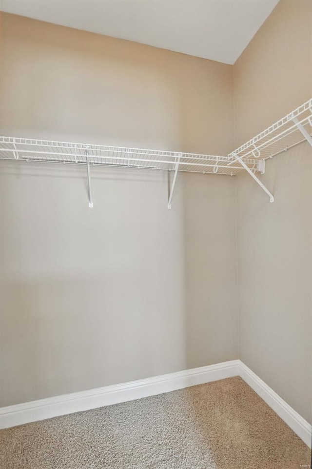 2707 Fairway Estates Dr, Wentzville, MO 63385 - walk in closet with carpet flooring