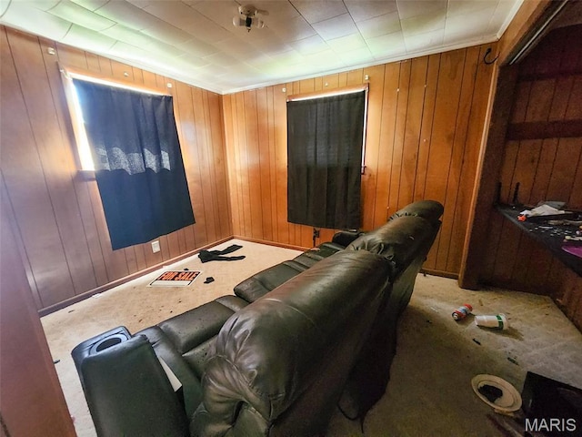 760 Swanwick St, Chester, IL 62233 - carpeted home theater room featuring wood walls