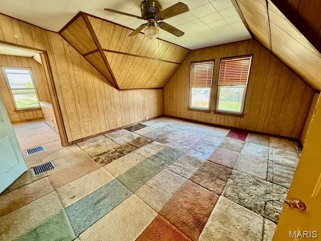 201 W Barr Ave, Jerseyville, IL 62052 - bonus room with wooden walls, lofted ceiling, and ceiling fan