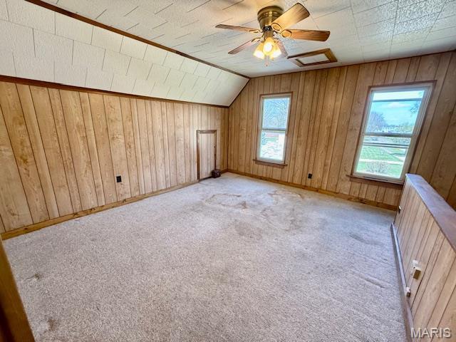 201 W Barr Ave, Jerseyville, IL 62052 - additional living space featuring wooden walls, light colored carpet, and lofted ceiling