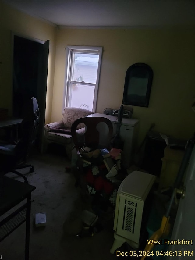310 S Odle, West Frankfort, IL 62896 - view of home office