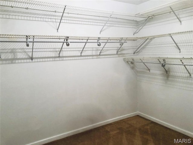 6990 Colonial Woods Dr Unit 59, Saint Louis, MO 63129 - walk in closet with dark colored carpet