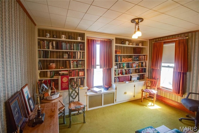 502 N State St, Jerseyville, IL 62052 - sitting room with wallpapered walls, built in features, and carpet