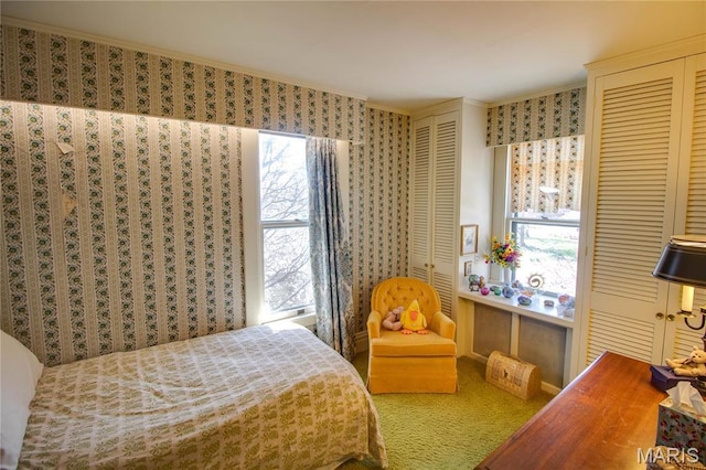 502 N State St, Jerseyville, IL 62052 - bedroom with multiple closets, ornamental molding, and carpet