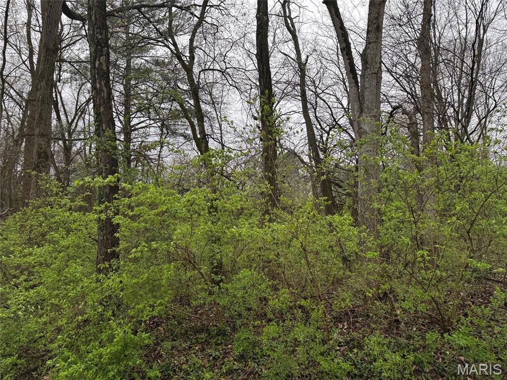 9 Wood Duck Dr, Ramsey, IL 62080 - photo 1
