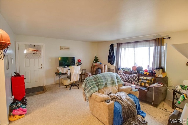 living area featuring carpet flooring