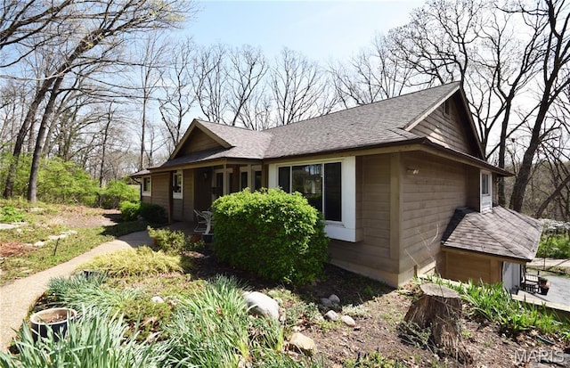 view of home's exterior with roof with shingles