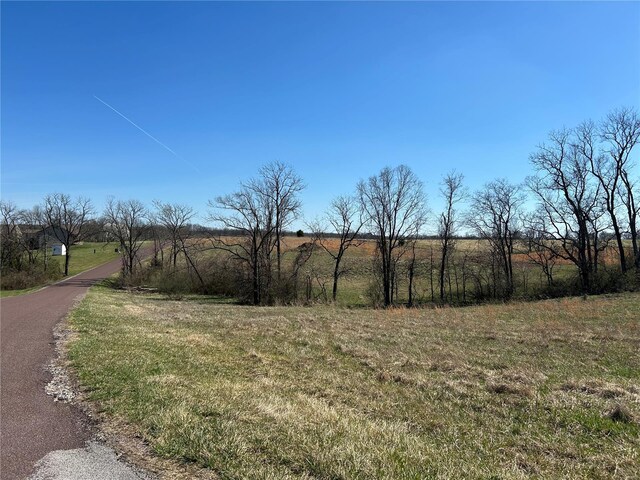 11 & Dr, Elsberry, MO 63343 - photo 11