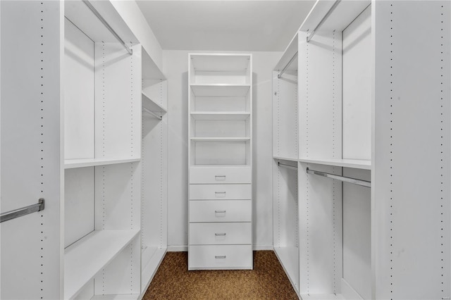 5089 Waterman Blvd, Saint Louis, MO 63108 - spacious closet featuring dark colored carpet