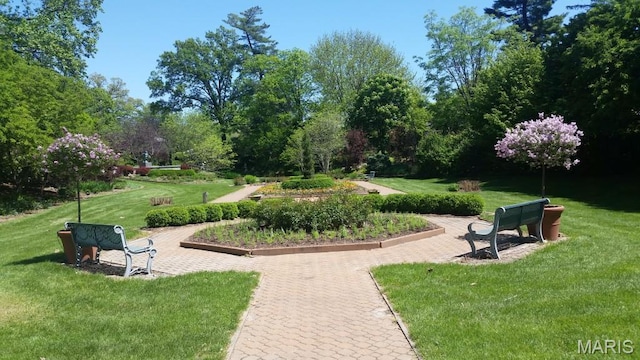 view of home's community featuring a yard