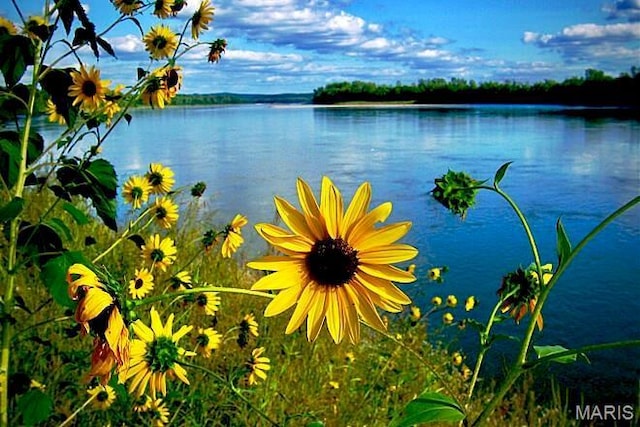 water view