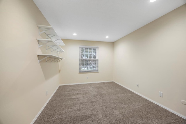 spacious closet with carpet