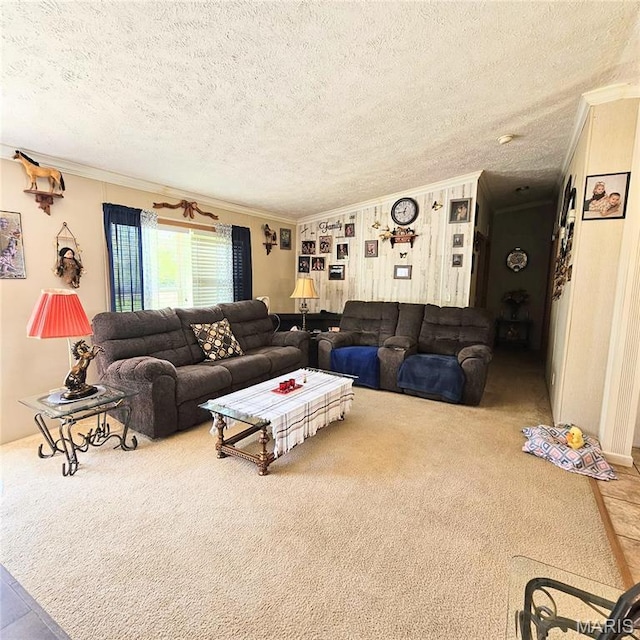 404 Garden St, Cahokia, IL 62206 - carpeted living area with crown molding and a textured ceiling